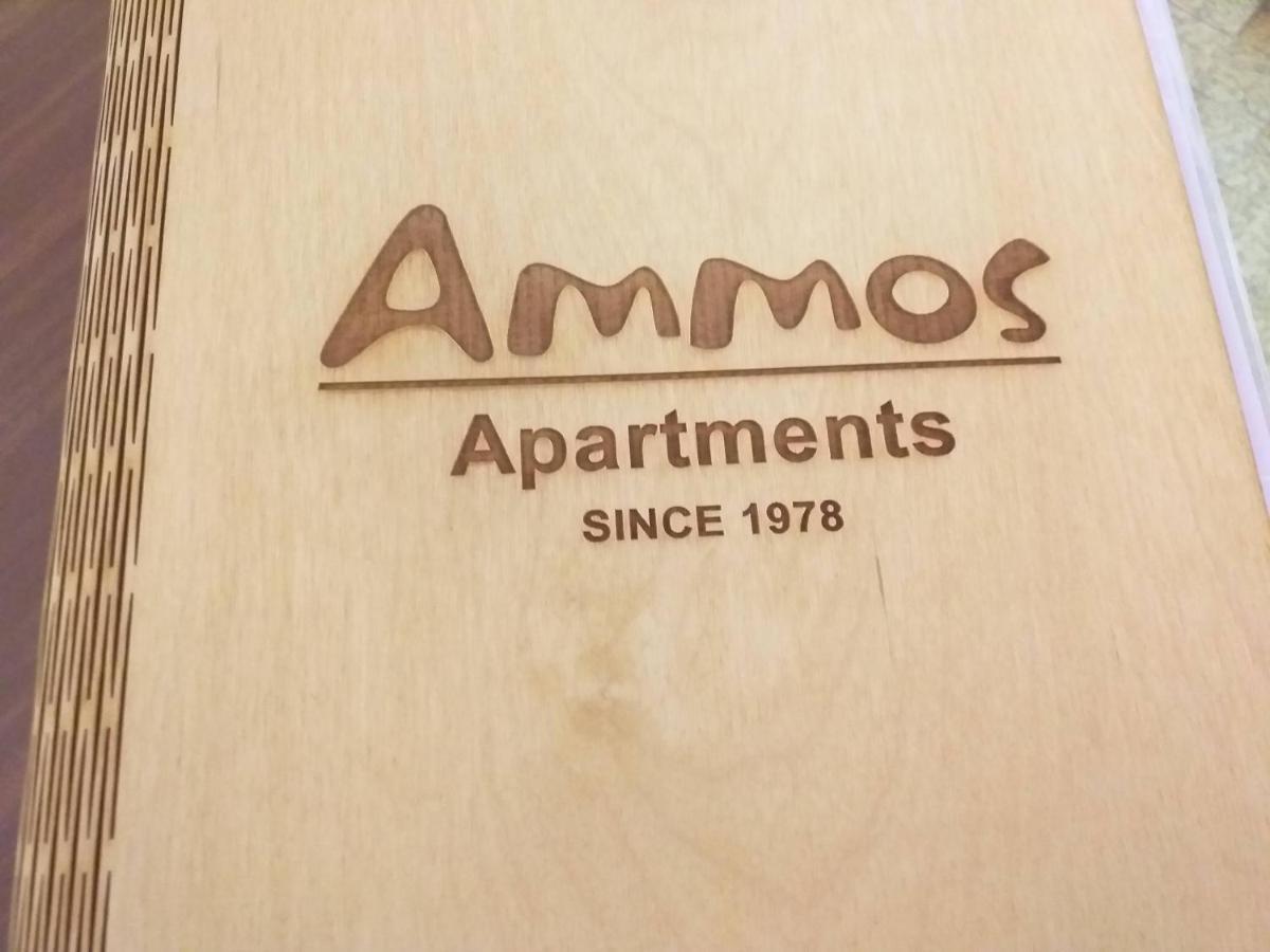 Ammos Apartments Ágios Nikólaos Екстериор снимка